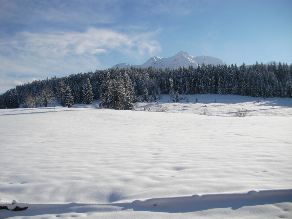 Apartament Haus Hubertus Hochfilzen Zewnętrze zdjęcie
